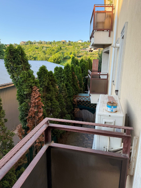 Apartament o Camera-Bucium 
