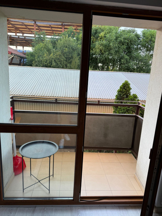 Apartament o Camera-Bucium 