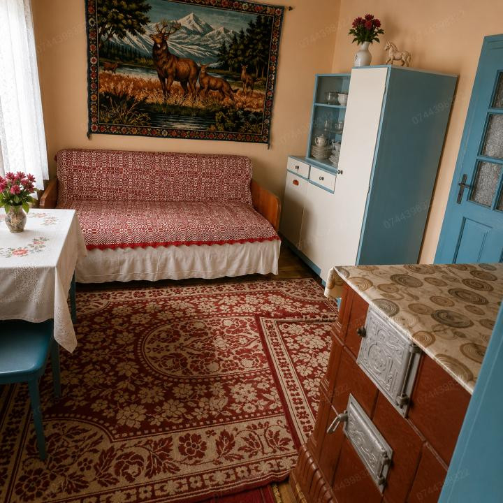 Casă 4 camere + teren 1.600 mp | Sat Nou, Săveni, BT | 25.000 €